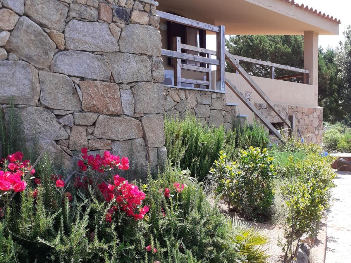 Villa Aloe 2 コスタ・パラディーゾ エクステリア 写真